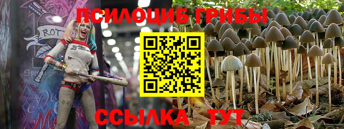 Галлюциногенные грибы прущие грибы  Псилоцибиновые грибы Magic Shrooms  где купить   Асбест  Вход с VPN 